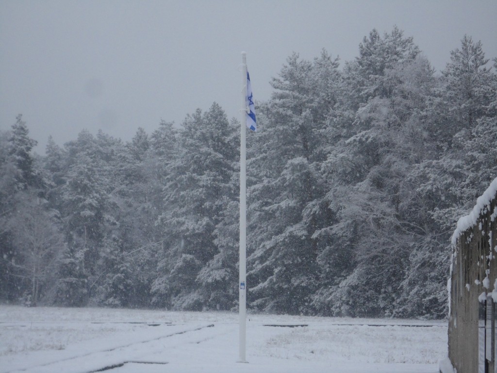 104.JPG
