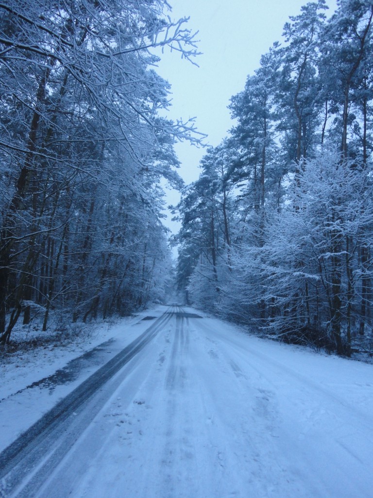 109.JPG