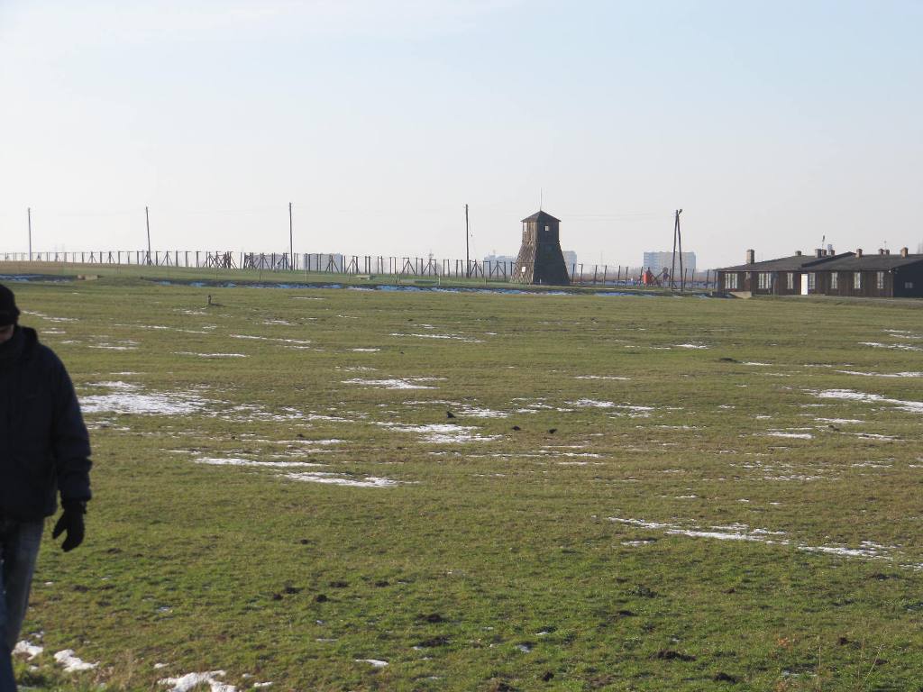 435.jpg