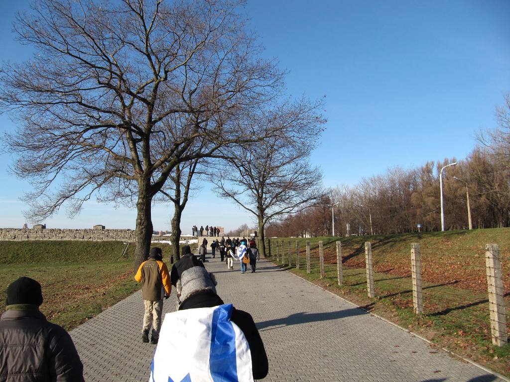 439.jpg