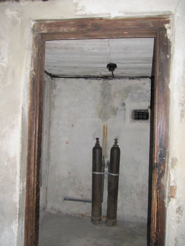 459.jpg