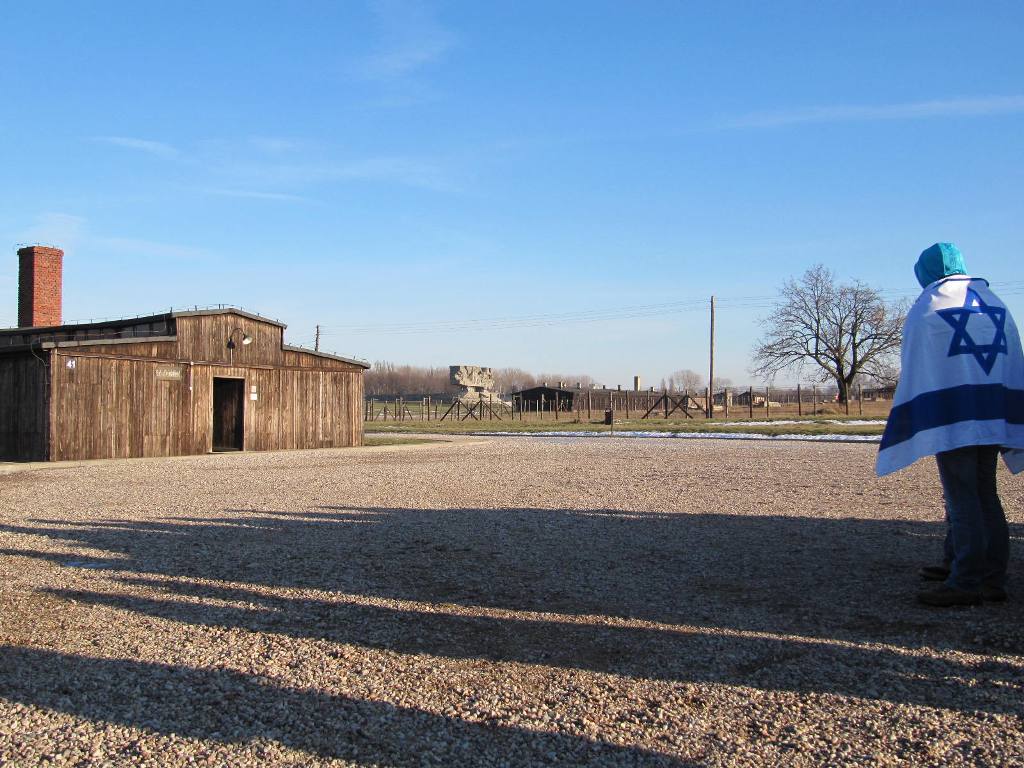 464.jpg
