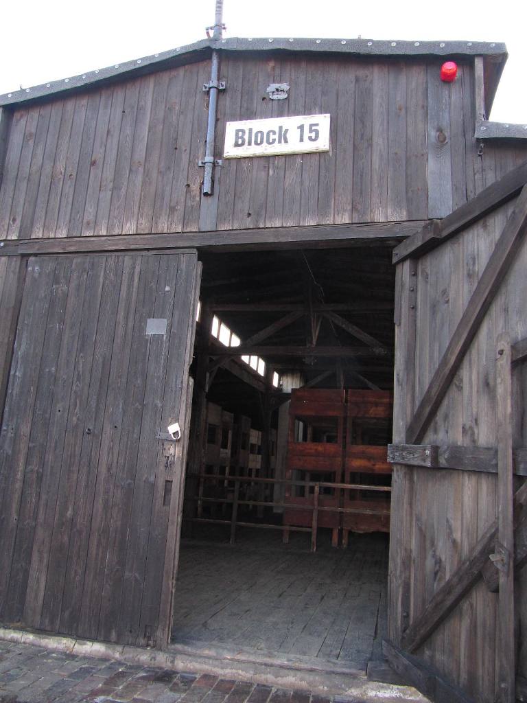 476.jpg
