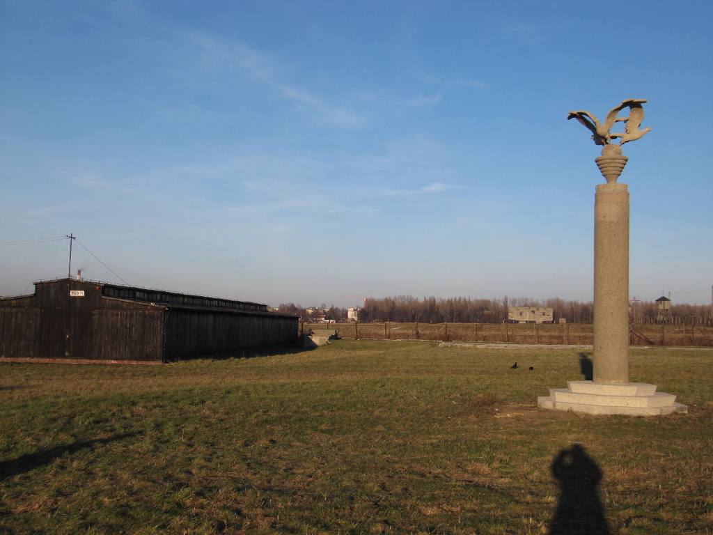 478.jpg