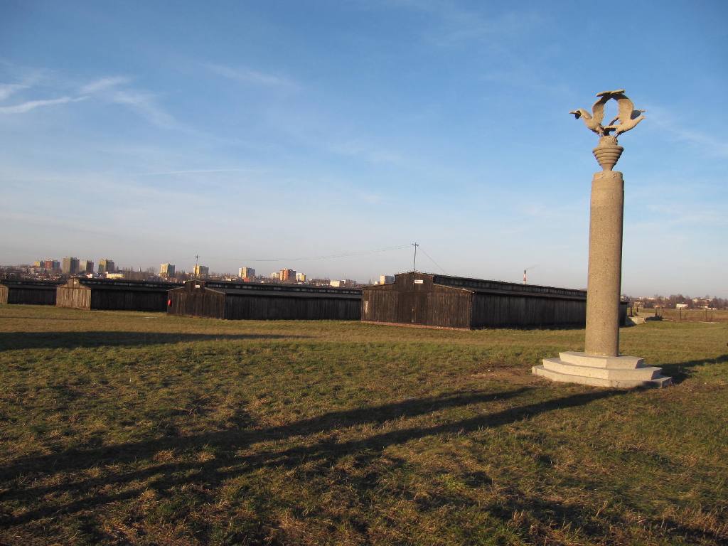 479.jpg