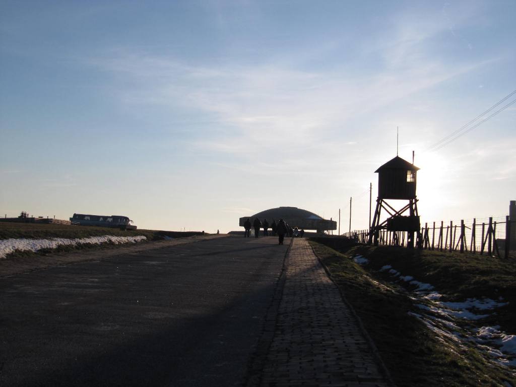 482.jpg