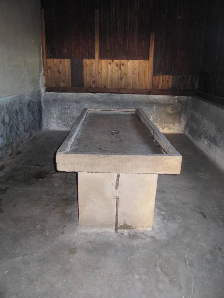 485.jpg