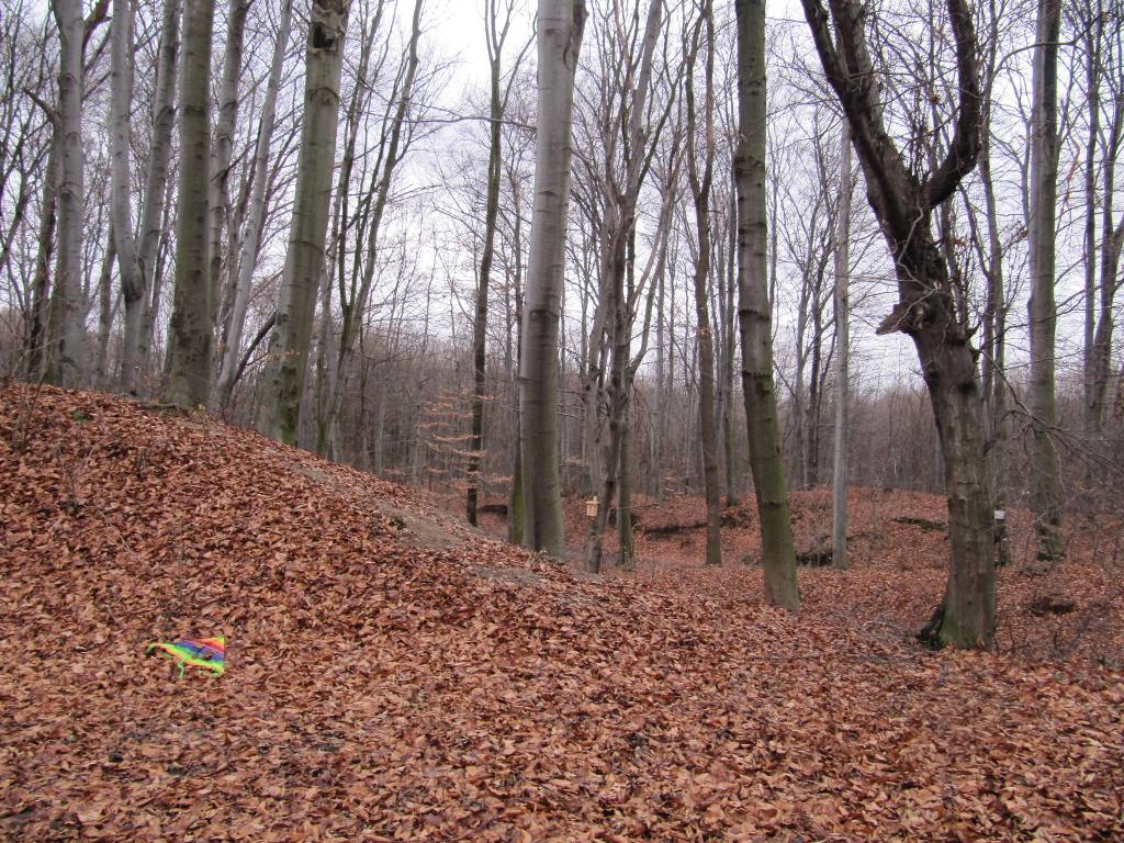 689.jpg