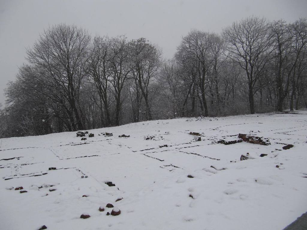 856.jpg