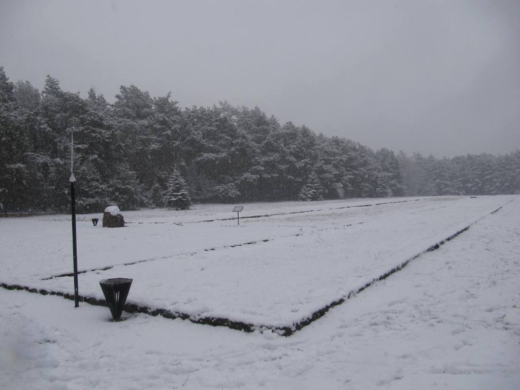 879.jpg