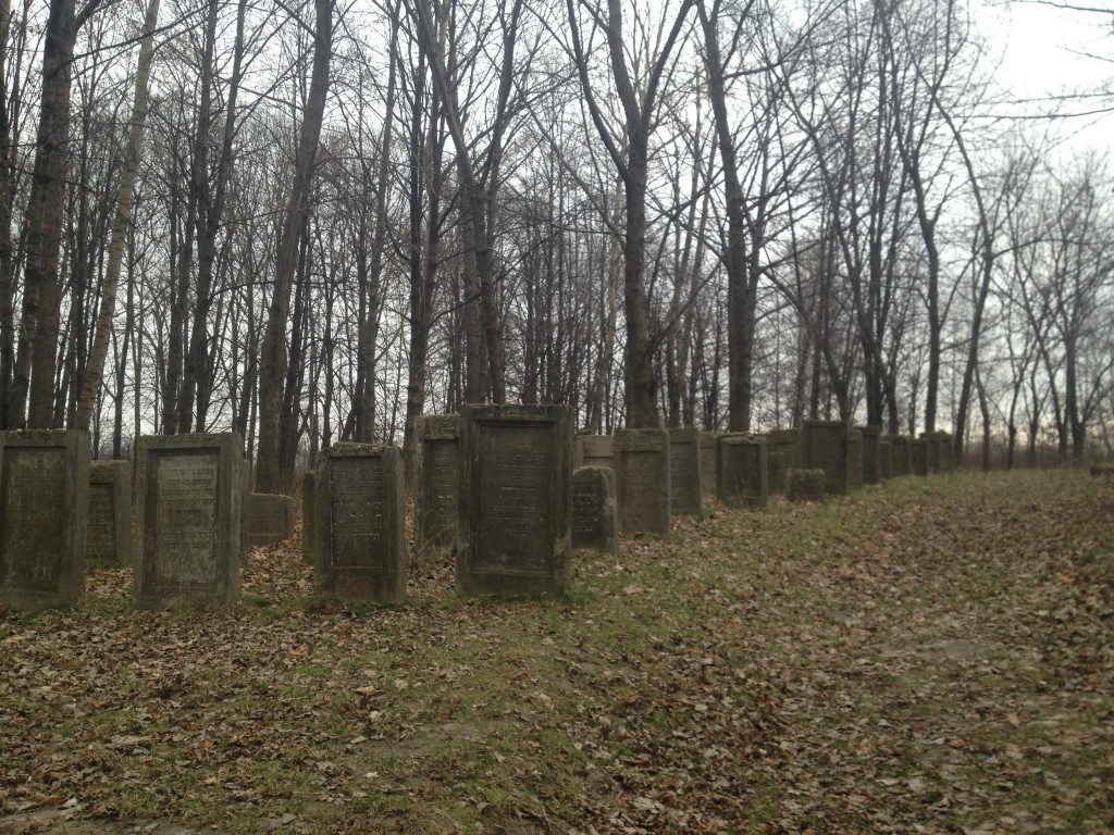 IMG_1641.JPG