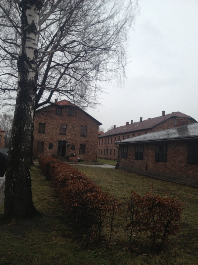 IMG_1737.JPG