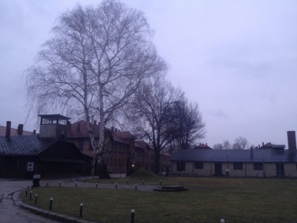 IMG_1756.JPG