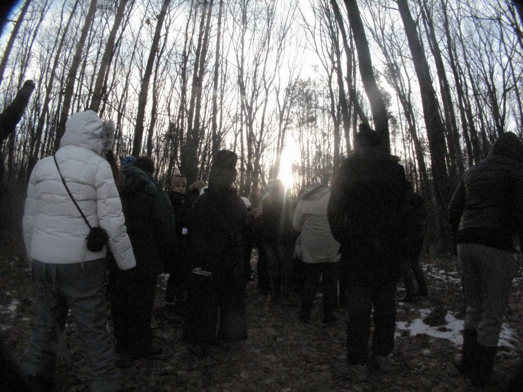IMG_2411.JPG