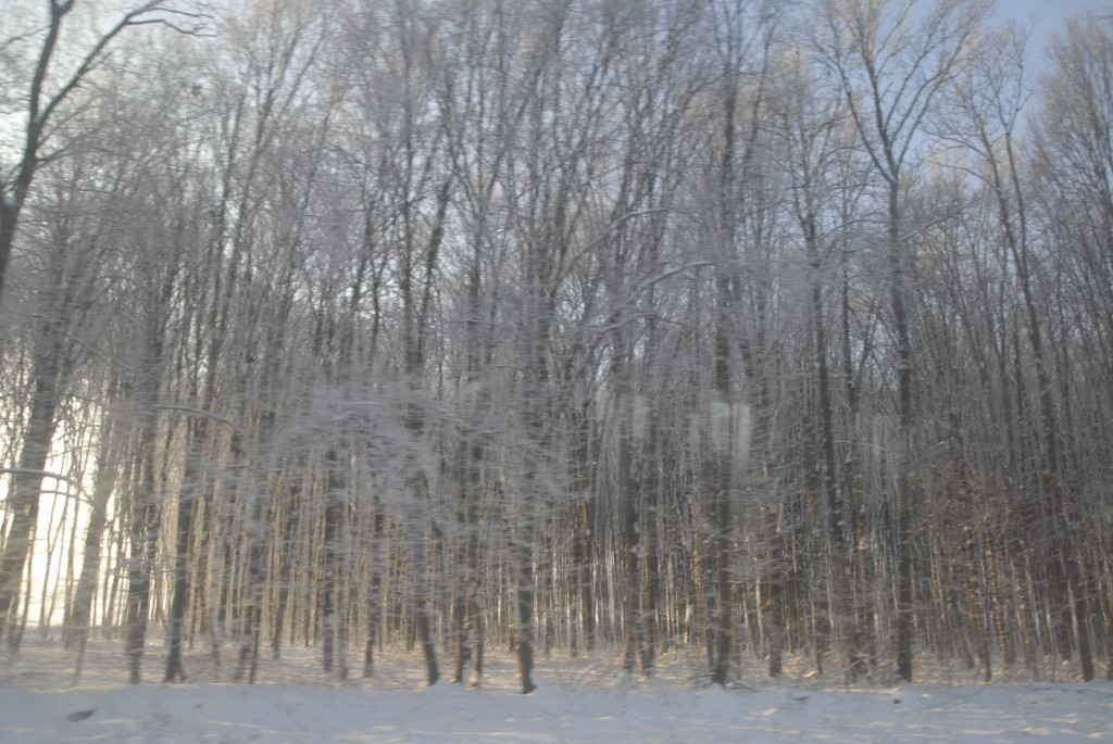 _OO12621.JPG