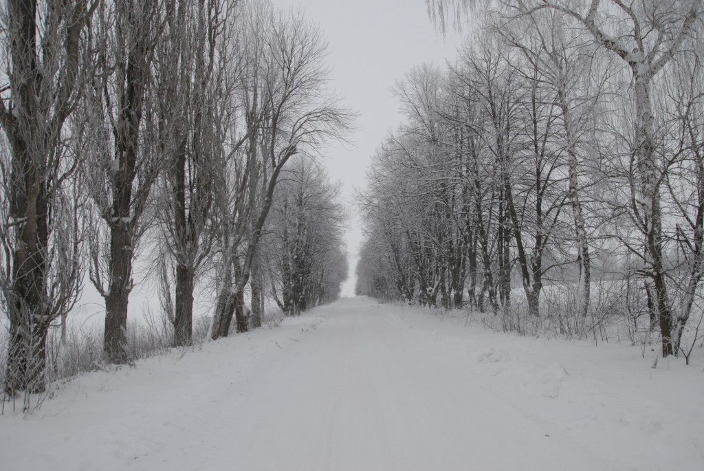 _OO12806.JPG