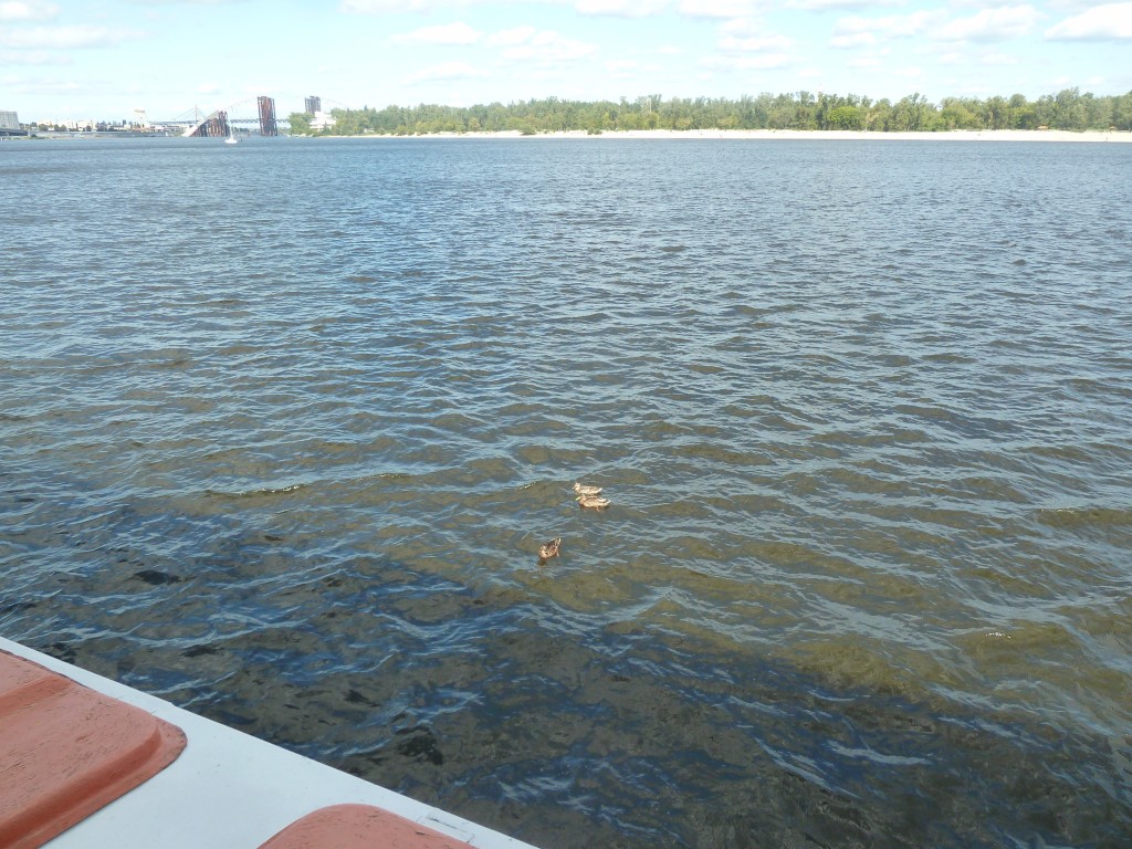P1040719.JPG