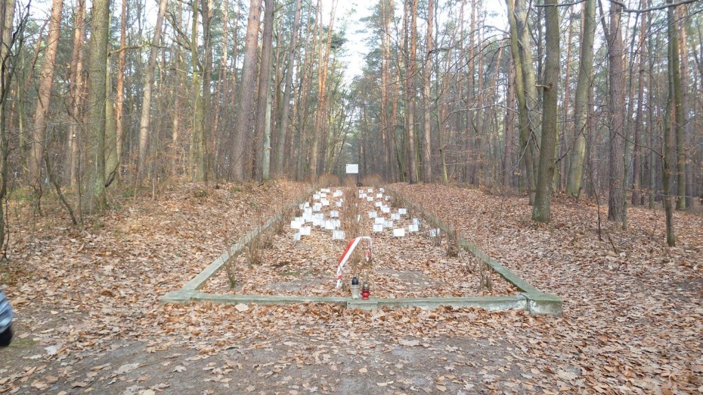 d31.jpg