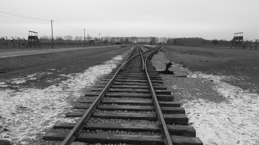 d39.jpg