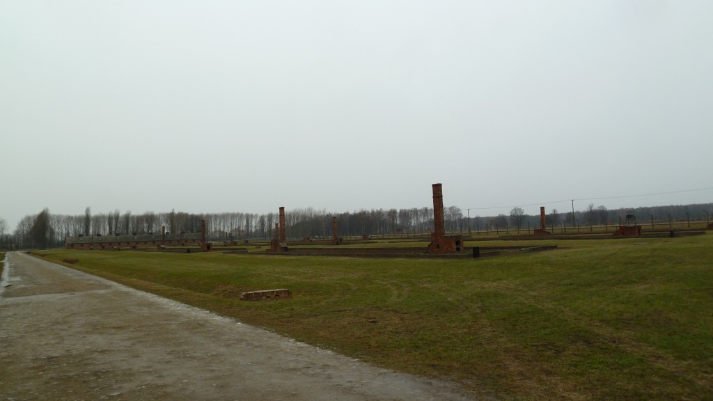 d42.jpg