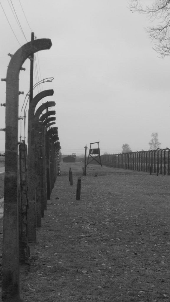 d48.jpg