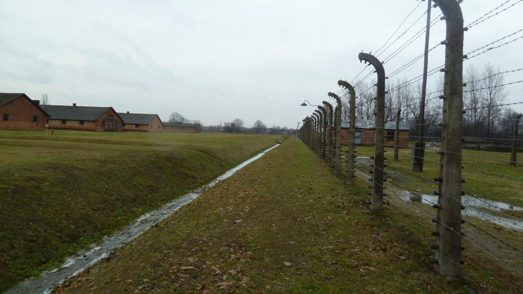 d51.jpg