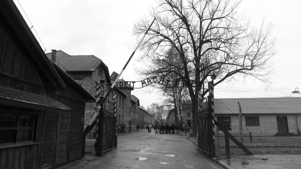 d53.jpg