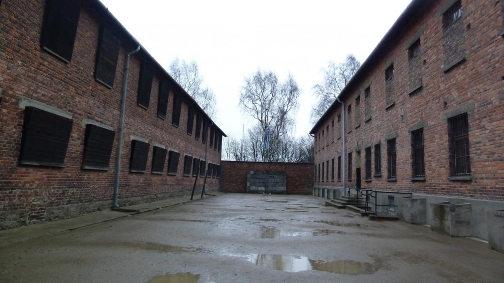 d56.jpg