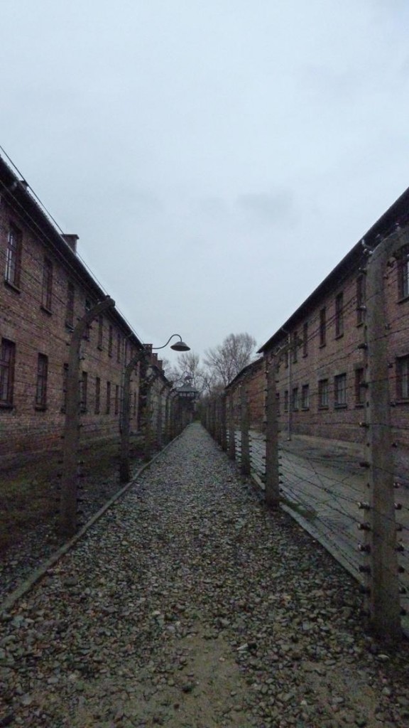 d58.jpg