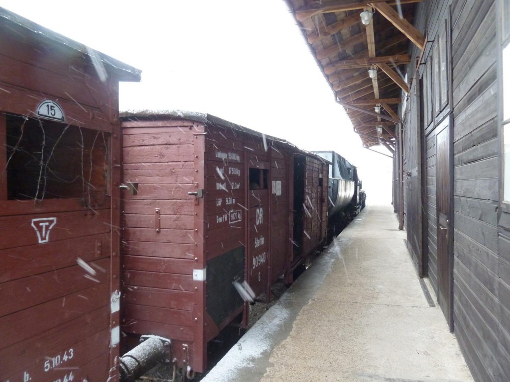 d72.jpg
