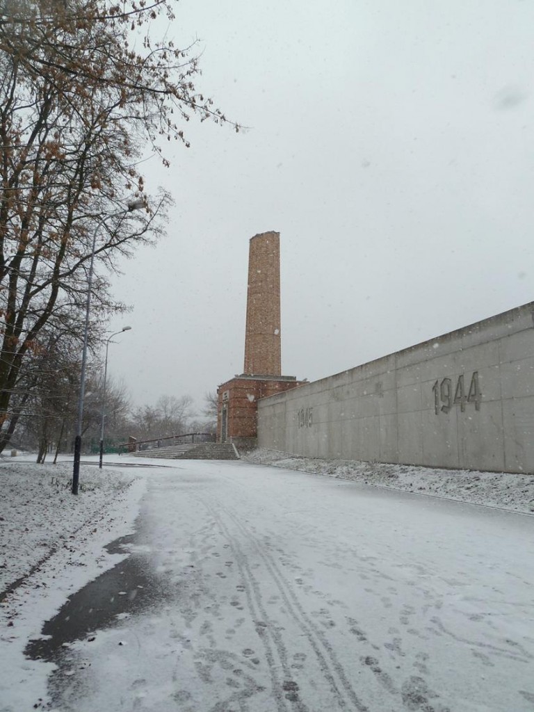 d75.jpg